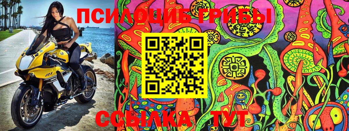 Галлюциногенные грибы Magic Shrooms Прокопьевск